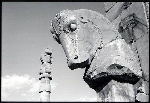 Tête de taureau à <i>Takhteh Jamshid</i> (Persepolis)