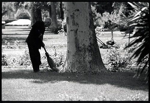 Un vieux jardinier. On voit beaucoup de jardiniers très âgés qui ne font rien d'autre que gagner leur pain.
