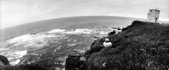 Les falaise de Látrabjarg sont le point le plus à l'ouest de l'Europe.