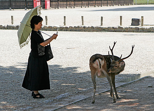 Le téléphone portable, l'Outil indispensable
