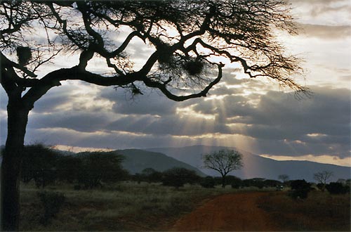 tsavo