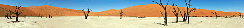 Dead Vlei. Au sud de Sossusvlei, cette vallée contient un ancien lac séché recouvert d'argile blanche. La vallée impressionne surtout par ces quelques arbres morts.