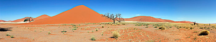 La fameuse dune 45. Sossusvlei.