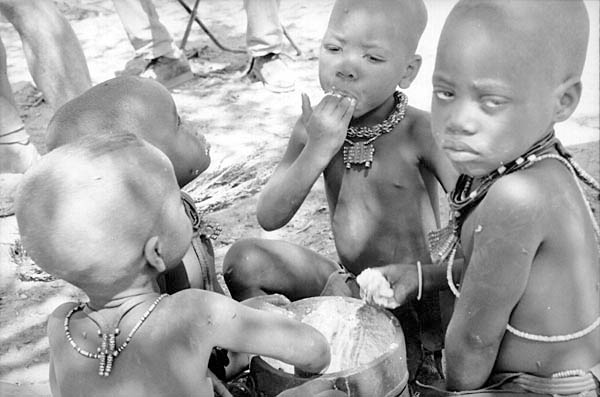 Dégustation du Mealie