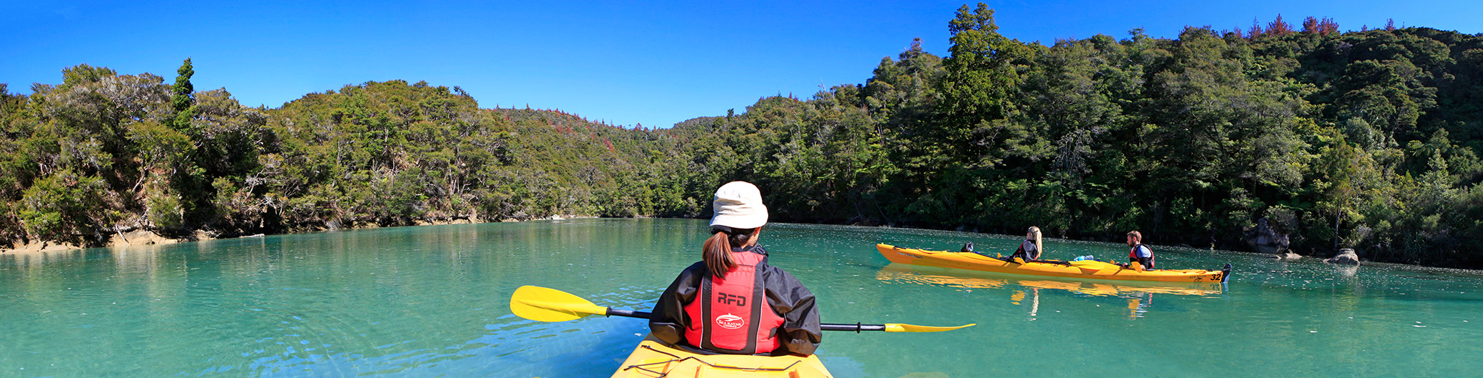  MG 2799  MG 2804-6-images