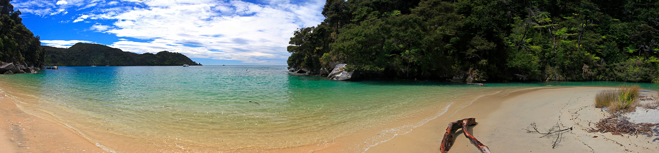  MG 2828  MG 2834-7-images