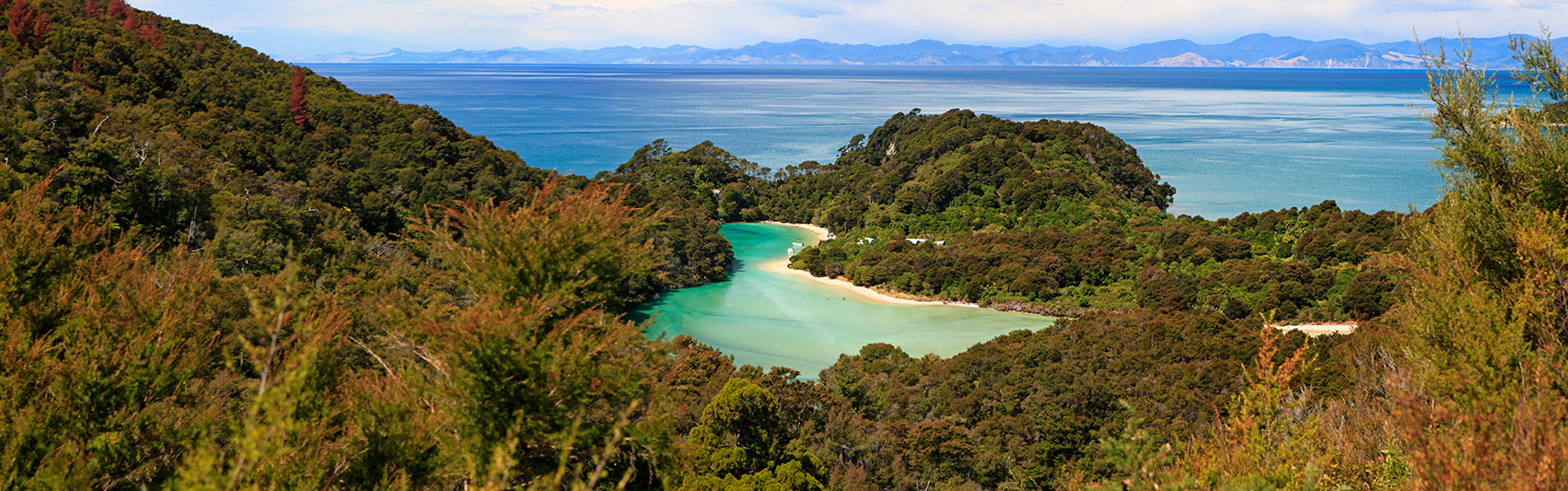  MG 2850  MG 2852-3-images