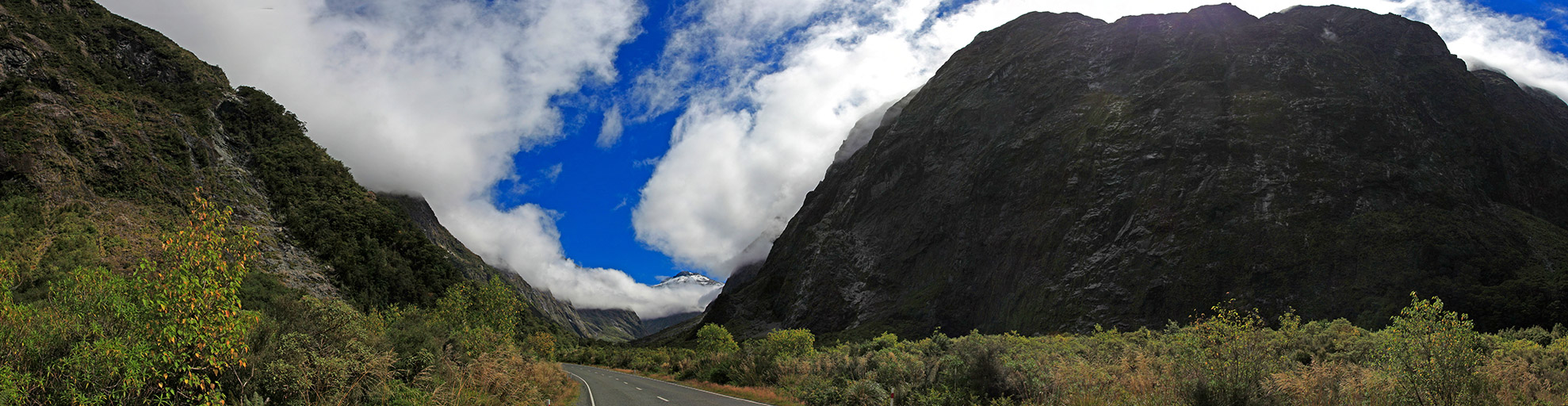  MG 3528  MG 3532-5-images