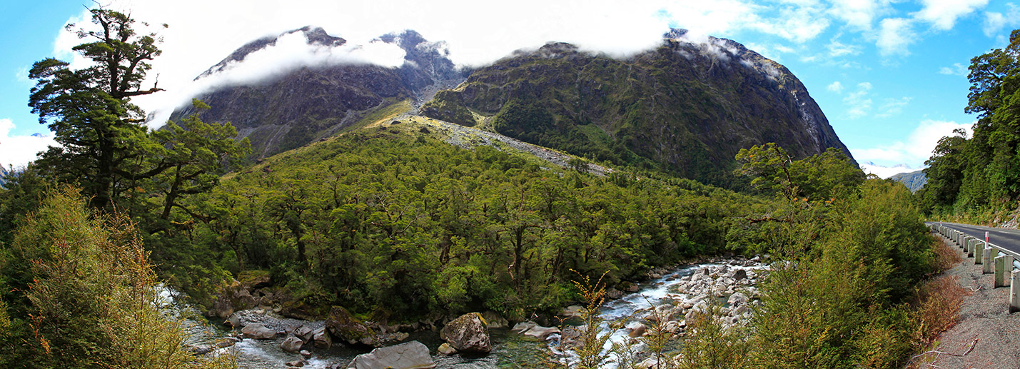  MG 3543  MG 3546-4-images