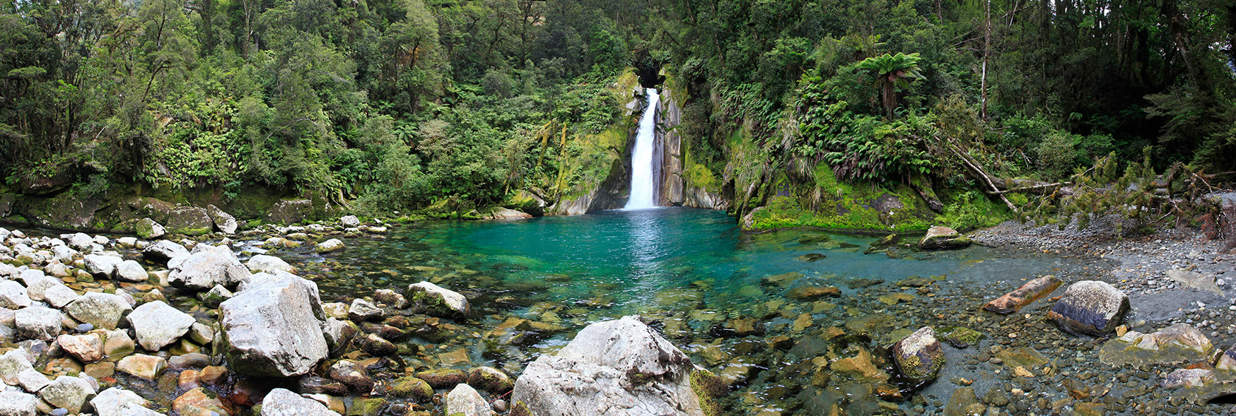  MG 3830  MG 3834-3-images