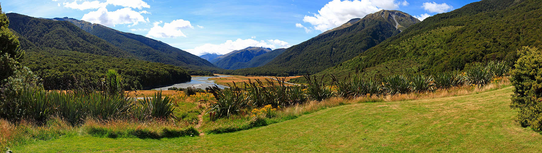  MG 3342  MG 3346-5-images