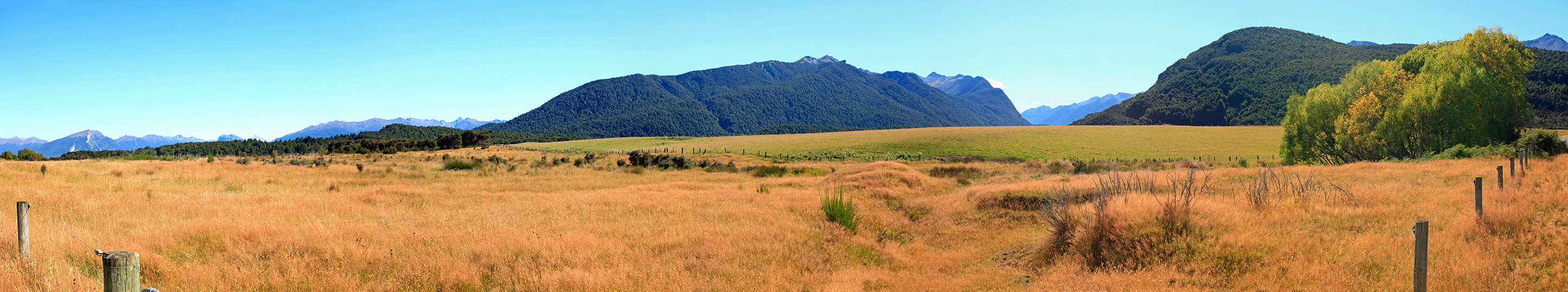  MG 3462  MG 3468-6-images