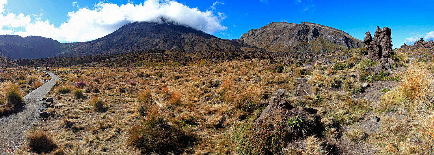  MG 2344  MG 2348-5-images