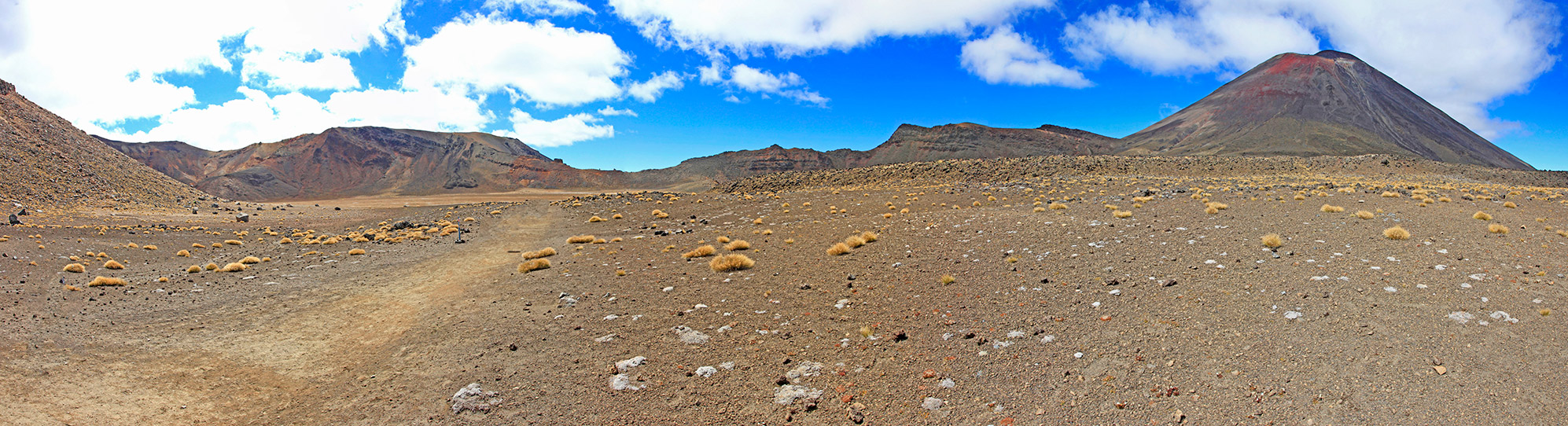  MG 2443  MG 2448-6-images