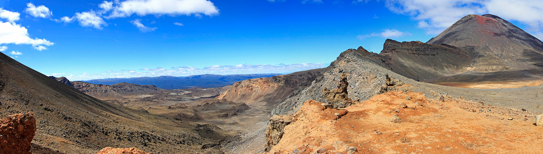  MG 2487  MG 2491-5-images