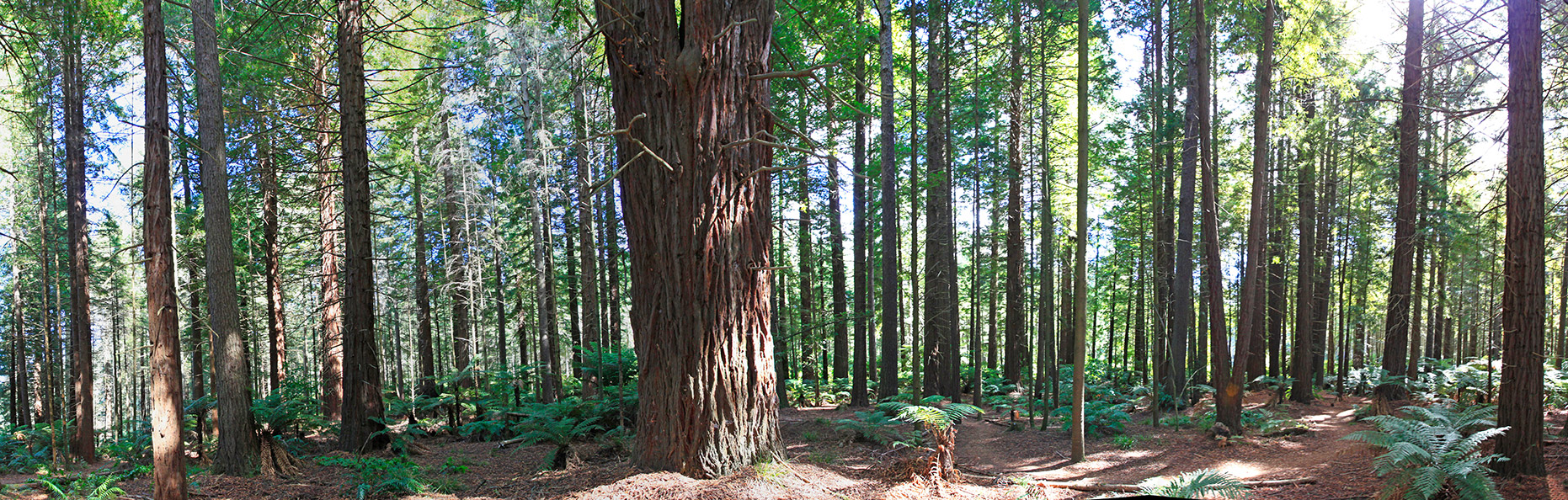  MG 2180  MG 2185-6-images