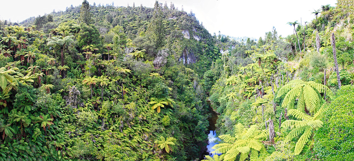  MG 2278  MG 2281-4-images