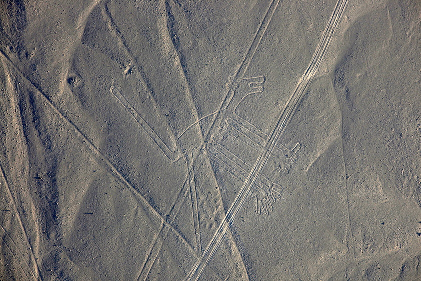 Le chien (un Jaguar en fait)