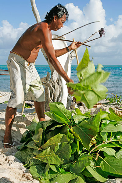 Couvrir avec des feuilles.