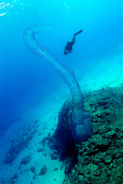 Si quelqu'un sait ce que c'est ...!!!
