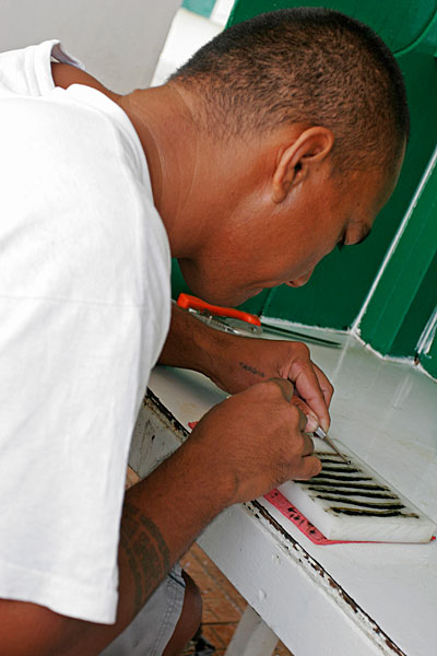 L'étape de la découpe du greffon. Pour la première greffe d'une huître, il est nécessaire d'associer au nucléus un greffon qui est en fait un bout du manteau d'une huître ayant une nacre composée de belles couleurs.