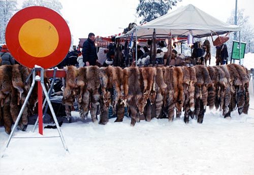 Un classique du marché: des peaux de bêtes
