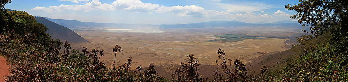 Cratère du Ngorongoro. Les animaux qui rentrent à l'intérieur se retrouvent souvent bloqués et ne peuvent se cacher car il n'y a pas d'arbres.