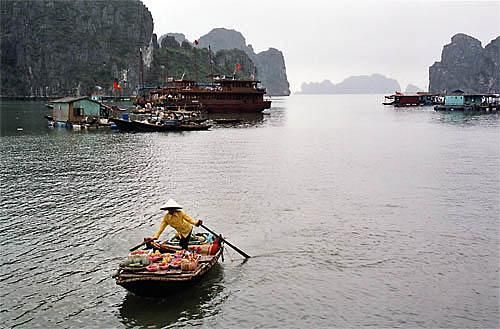 Dans la Baie, des barques vous accostent pour vous présenter et vendre toute sorte de nourriture: fruits, poissons, ...