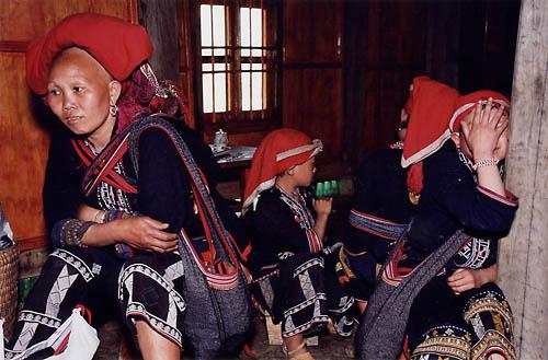 Chez les H'Mongs